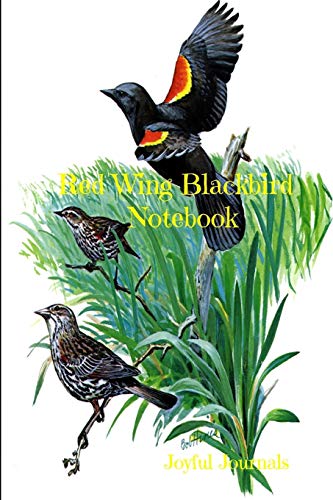 Beispielbild fr Red Wing Blackbird Notebook: 6 x 9 Journal Notebook with 120 pages of College-Ruled paper for Birders or Nature Lovers zum Verkauf von SecondSale