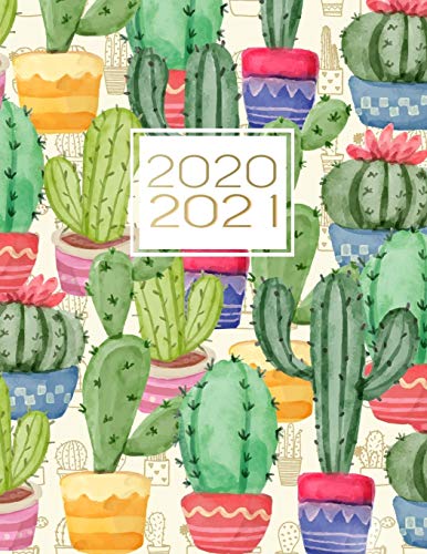 Stock image for 2020-2021: Two Year Planner |Cactus Watercolor Cover | 2 Year Calendar 2020-2021 Monthly | 24 Months Agenda Planner with Holiday |Inspirational Quotes . Appointment 24 Months Jan 2020 to Dec 2021 for sale by Books From California