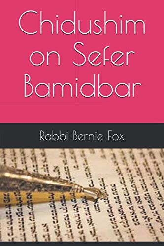 9781089593164: Chidushim on Sefer Bamidbar