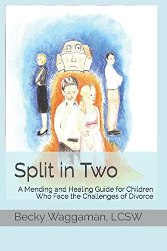 Stock image for Split in Two: Mending and Healing: Challenges Children Face in the Midst of Divorce for sale by Revaluation Books