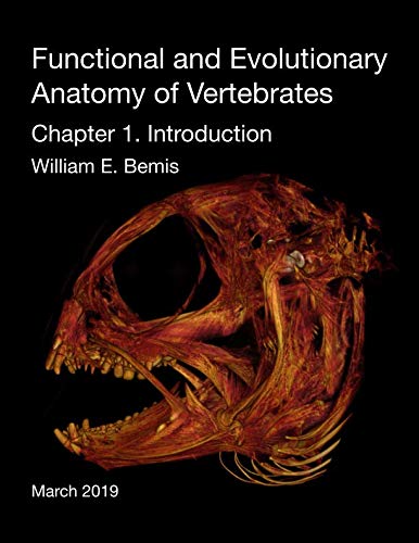 Stock image for Functional and Evolutionary Anatomy of Vertebrates: Chapter 1 for sale by Revaluation Books