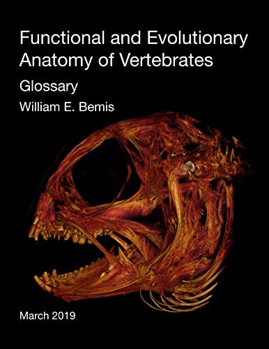Stock image for Functional and Evolutionary Anatomy of Vertebrates: Glossary for sale by Revaluation Books
