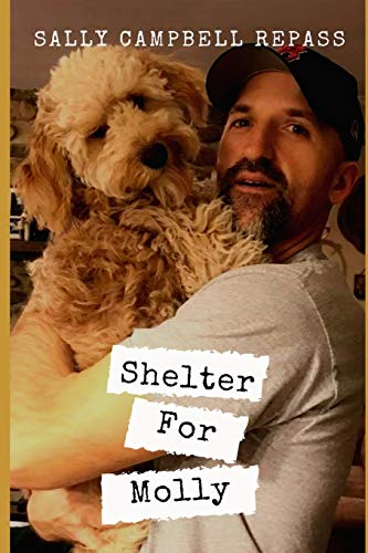 Stock image for Shelter For Molly for sale by THE SAINT BOOKSTORE
