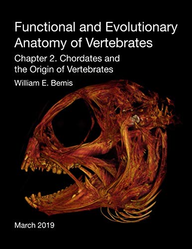 Stock image for Functional and Evolutionary Morphology of Vertebrates: Chapter 2 for sale by Revaluation Books