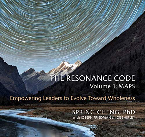Stock image for The Resonance Code: Empowering Leaders to Evolve Toward Wholeness (Volume 1: Maps, Black & White Edition) for sale by SecondSale