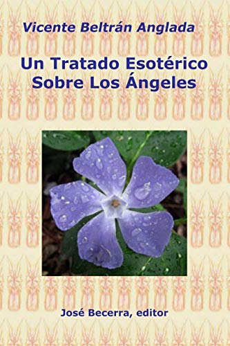 Stock image for Un Tratado Esotrico Sobre Los ngeles for sale by Revaluation Books