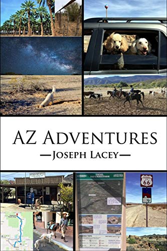 Stock image for AZ Adventures for sale by Lucky's Textbooks