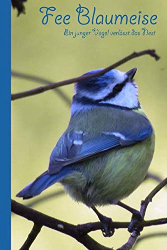 Stock image for Fee Blaumeise: Ein junger Vogel verlaesst das Nest for sale by Revaluation Books