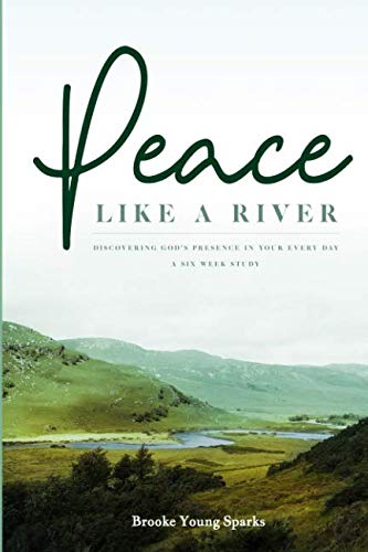 Stock image for Peace Like a River: Discovering Gods Presence In Your Every Day: for sale by Hawking Books