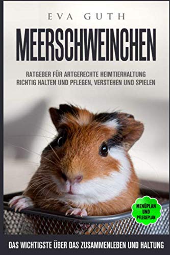 Beispielbild fr MEERSCHWEINCHEN. Ratgeber fr artgerechte Heimtierhaltung. Richtig halten und pflegen, Verstehen und spielen. Menplan und Pflegeplan. Das wichtigste ber das Zusammenleben und Haltung. zum Verkauf von medimops