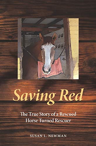 Stock image for Saving Red: The True Story of a Rescued Horse Turned Rescuer for sale by Bookmans