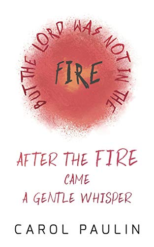 Beispielbild fr After the Fire zum Verkauf von ThriftBooks-Dallas