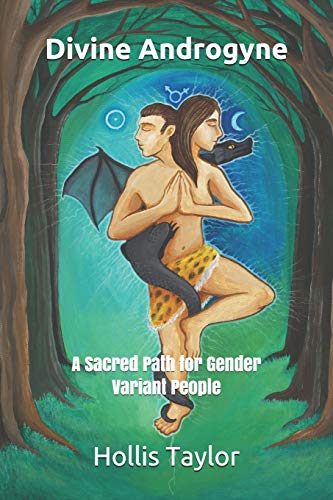 Stock image for Divine Androgyne: A Sacred Path for Gender Variant People for sale by SecondSale