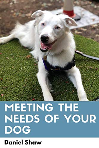 Beispielbild fr Meeting the Needs of Your Dog zum Verkauf von WorldofBooks