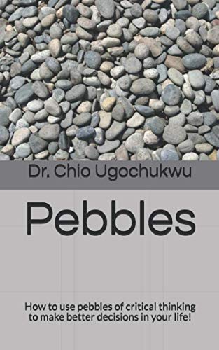 Beispielbild fr Pebbles: How to use pebbles of critical thinking to make better decisions in your life! zum Verkauf von Revaluation Books