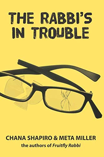 Stock image for The Rabbi's in Trouble: The continuing adventures of Rabbi Joshua Stein for sale by SecondSale