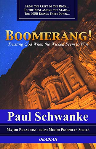 Beispielbild fr Boomerang!: Trusting God When the Wicked Seem to Win zum Verkauf von ThriftBooks-Atlanta
