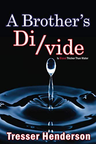 Stock image for A Brother's Divide for sale by Revaluation Books