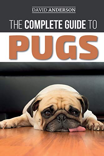 Beispielbild fr The Complete Guide to Pugs: Finding, Training, Teaching, Grooming, Feeding, and Loving your new Pug Puppy zum Verkauf von BooksRun