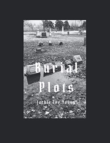 Beispielbild fr Burial Plots zum Verkauf von Revaluation Books