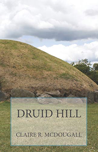 Stock image for DRUID HILL: BOOK 2 (VEIL OF TIME) for sale by BooksRun