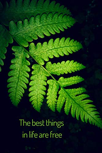 Stock image for The best things in life are free: Composition notebook: motivational notebook, natur cover (6x9", glossy, line, 110 pages) for sale by Revaluation Books