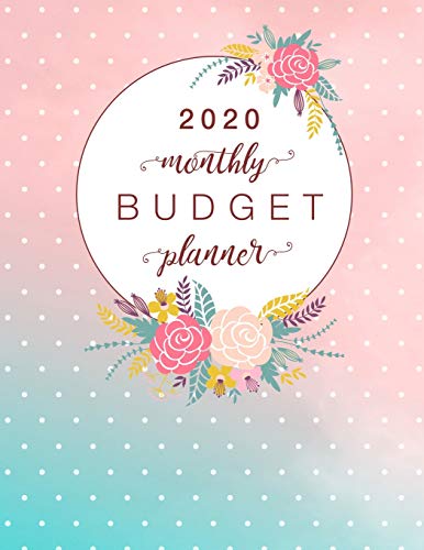 Stock image for 2020 Monthly Budget Planner: Weekly Monthly Financial Expense Tracker Notebook & Bill Organizer (Pink Aqua Design) (Large Size 8.5x11) for sale by Revaluation Books