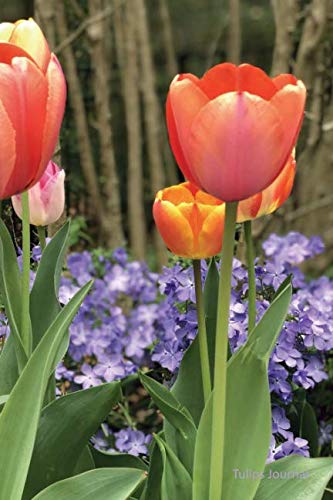 Beispielbild fr Tulips Journal zum Verkauf von Revaluation Books