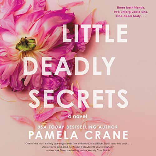 9781094169521: Little Deadly Secrets: A Novel
