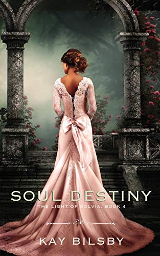 Stock image for soul destiny (the light of solvia) for sale by Lucky's Textbooks