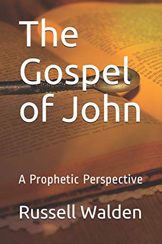 Stock image for The Gospel of John: A Prophetic Perspective for sale by THE SAINT BOOKSTORE