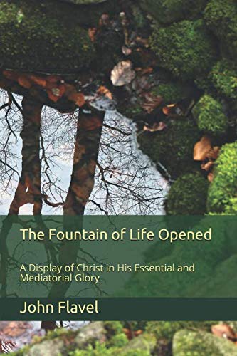 Stock image for The Fountain of Life Opened: A Display of Christ in His Essential and Mediatorial Glory for sale by Revaluation Books