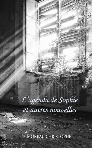 Beispielbild fr L'agenda de sophie et autres nouvelles zum Verkauf von Librairie Th  la page