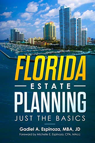 9781096346265: Florida Estate Planning: Just the Basics