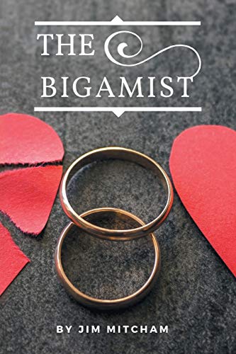 Stock image for The Bigamist: A love story for sale by Lucky's Textbooks