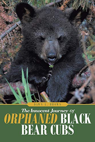 Stock image for The Innocent Journey of Orphaned Black Bear Cubs for sale by ThriftBooks-Dallas