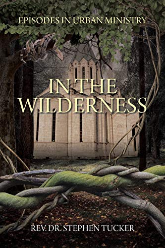 Stock image for In The Wilderness: Episodes in Urban Ministry for sale by ThriftBooks-Dallas