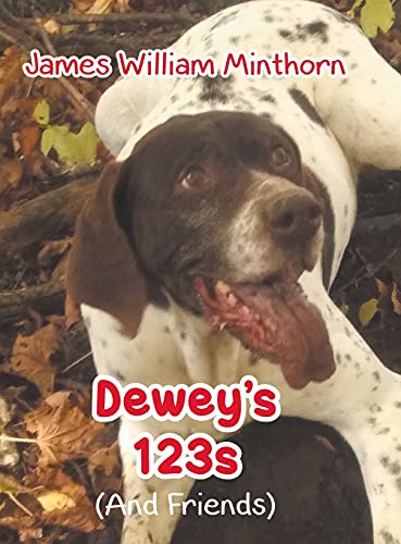 Stock image for Dewey's 123s: (And Friends) for sale by ThriftBooks-Atlanta