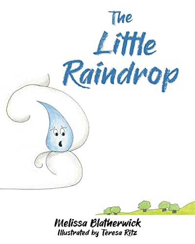 Stock image for The Little Raindrop for sale by ThriftBooks-Dallas