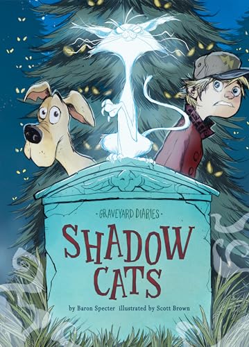 9781098230302: Shadow Cats (Graveyard Diaries, 12)