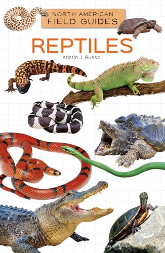Beispielbild fr Reptiles zum Verkauf von Blackwell's