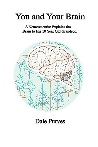 Stock image for You and Your Brain: A Neuroscientist Explains the Brain to His 10 Year Old Grandson for sale by Jenson Books Inc