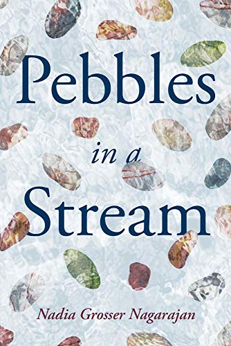 9781098343033: Pebbles in a Stream