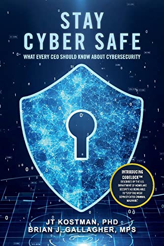 Imagen de archivo de Stay Cyber Safe: What Every CEO Should Know About Cybersecurity a la venta por PlumCircle