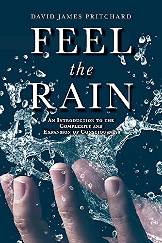 Imagen de archivo de Feel the Rain: An Introduction to the Complexity and Expansion of Consciousness a la venta por ThriftBooks-Dallas