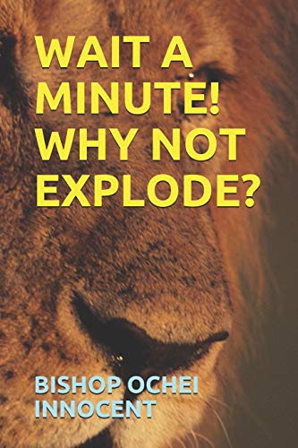 Stock image for Wait a Minute! Why Not Explode? for sale by THE SAINT BOOKSTORE
