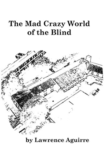 Beispielbild fr The Mad Crazy World of the Blind zum Verkauf von Revaluation Books