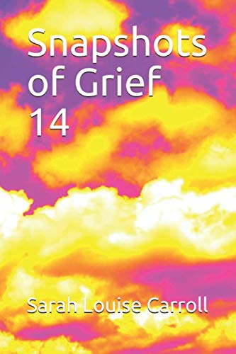 Stock image for Snapshots of Grief 14 for sale by Revaluation Books