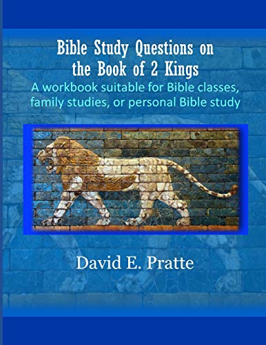 Stock image for Bible Study Questions on the Book of 2 Kings: A workbook suitable for Bible classes, family studies, or personal Bible study for sale by SecondSale