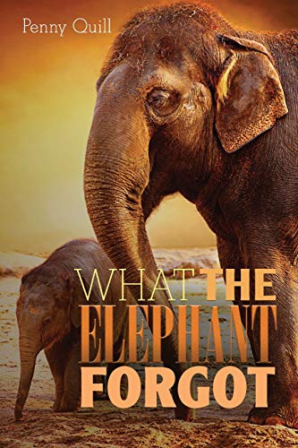 Stock image for What the Elephant Forgot: A Disguised Password Book With Tabs to Protect Your Usernames, Passwords and Other Internet Login Information | Elephant Design 6 x 9 inches (Disguised Password Books) for sale by Decluttr